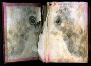 20101031211301-bullseyebible