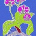 20101101091549-orchid_big_one_2622x3336