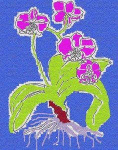 20101101091549-orchid_big_one_2622x3336