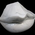 20101101092116-labbra_marmo_statuario_cm_60x30x23__5_