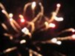 20101102044114-davida