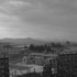 20101102112003-untitled