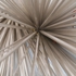 Mooney_-_pike__detail___web_
