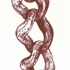 Rose_house_-_links