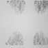 20101105132736-15