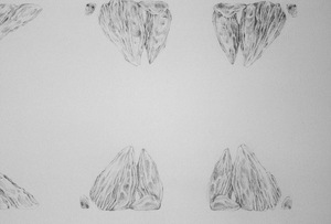 20101105132736-15