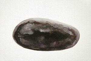 20101105144412-10
