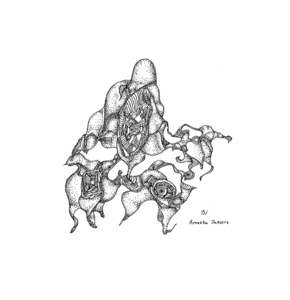 20101105151920-amoeba_dance_restore_and_size