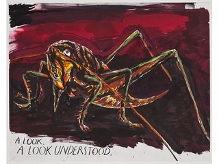 ,Raymond Pettibon