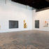 20101107090455-dayfornight_install4_430px