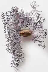 ,Mark Fox