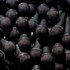 20101108001854-sguptaclouddsc_6
