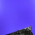 20101108160827-prattblue_final