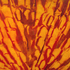 20101108182950-queen_s_cape_i