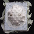 20101109074453-lotus_seed_pod__1
