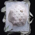20101109074551-lotus_seed_pod__2