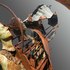 20101109205916-fragmentedman2-webv