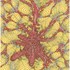 20101110000251-zellerregional-transmission-390x500
