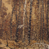 20101110062311-winterlandscape