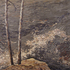 20101110064250-two_pines