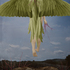 20110125120825-whereyouend_1