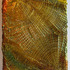 20101110154359-gold_key