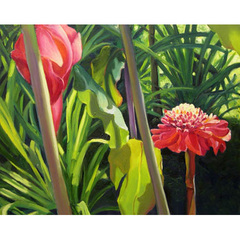 Costa Rica,TIFFANY STRONSKY