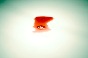 20110115082659-dak_1394
