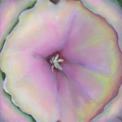 Wild Flowers Series I,Rosemary DiNardo