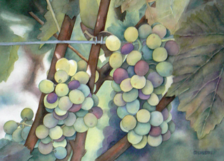 Napa Grapes,Teresa Silvestri