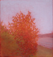 Red Bush,Elizabeth Noerdlinger