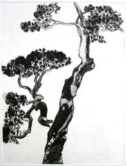 Tree,Marianne Schlumberger