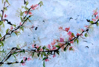 Bougainvillea,Nancy Terrebonne