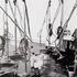 20101111210923-paul_kos_2