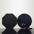 20101112121853-the_complete_works-nina_beier-2009-pictured_dancer_roberta_escamilla_garrison-credit_altrospazio