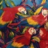20101112122558-11_11_parrots