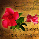 20101112155320-musicflower