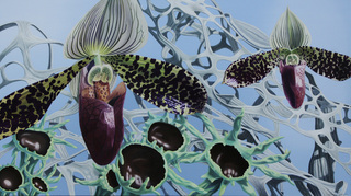 Age of Wonder,Gary Brewer