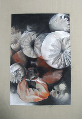 Under Cultivation,Susan Manchester