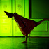 20101113145133-09-10_jac_danse_smart_019