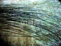 20101114064202-fc6