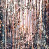 20101114080849-bushd_1