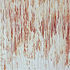 20101114081130-diane_bush2