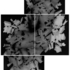 20101114140947-saumell_-_casse