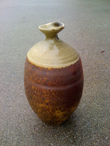 20101114172644-vieser-inspire-image1