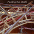 20101115074922-peeling_the_strata