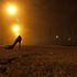 20101117083704-img_5483b