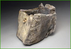 Mitchell_halfblock_b_web