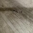 20101118004017-re_4th_floor_2_2008_3440