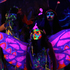 20101118170217-blackblack_tribe